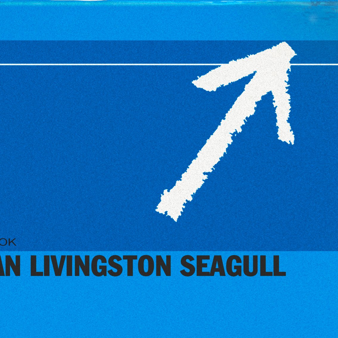 JONATHAN LIVINGSTON SEAGULL | The Rockpot